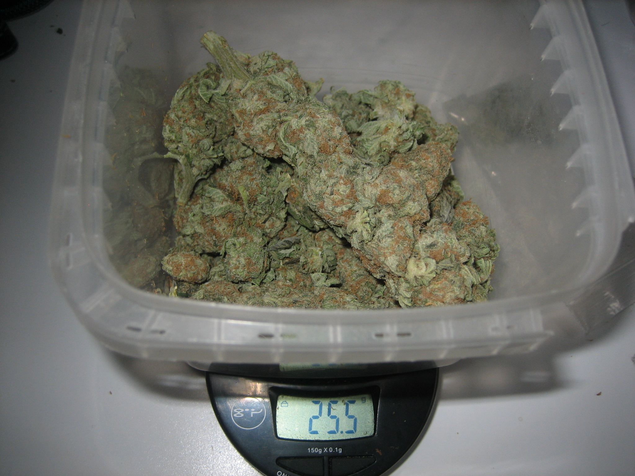 Вес одного куста марихуаны ванны из конопли
