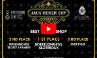 jack herer cup 2020