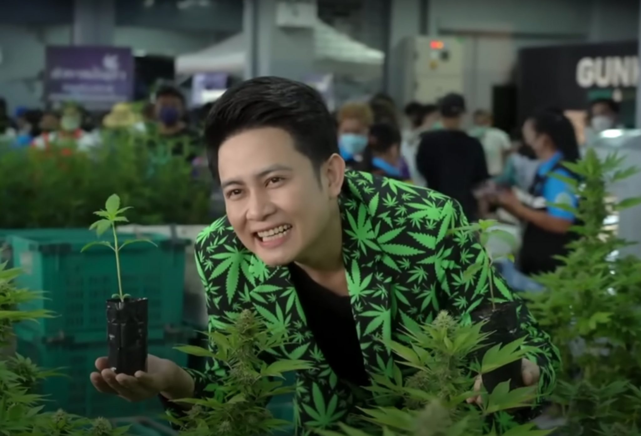 Bbc Video Hoe Thailand Van War On Drugs Naar Cannabis Curries Ging