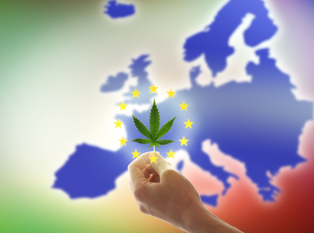 EU-rapport: 1 Op De 12 Europeanen Consumeert Cannabis - CNNBS.nl