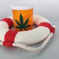 Medicinaal Cannabis Journaal 2024 • #25