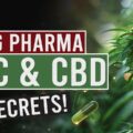 Wat Big Pharma niet wil dat jij weet over THC en CBD