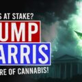 4:08 minuten knokken! TRUMP vs HARRIS over CANNABIS