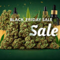 Ook in cannabisland is het Black Friday: sla je slag!