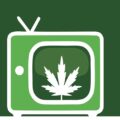 Medicinaal Cannabis Journaal 2024 • #45