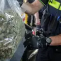 Cannabis foto’s • 6 actuele beelden uit de oorlog tegen wiet (#19)