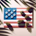 Column • Wat als Amerika cannabis federaal legaliseert? 