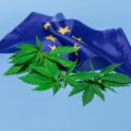 Wietgebruik daalt na legalisatie Malta, steun voor legalisering in EU daalt