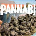 Mooie docufilm over Spannabis en de wiet scene in Spanje