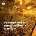 Cannabis foto’s • 6 actuele beelden uit de oorlog tegen wiet (#29)