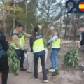 Spaanse politie pakt Nederlands stel en Albanezen voor wietteelt